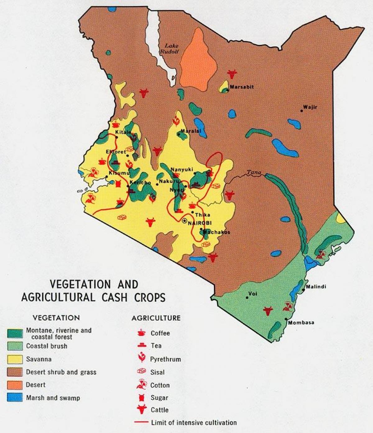 地図のケニアの天然資源